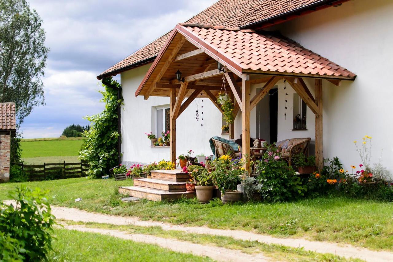 Zakatek Szczescia Eko Agroturystyka Kiwity Buitenkant foto