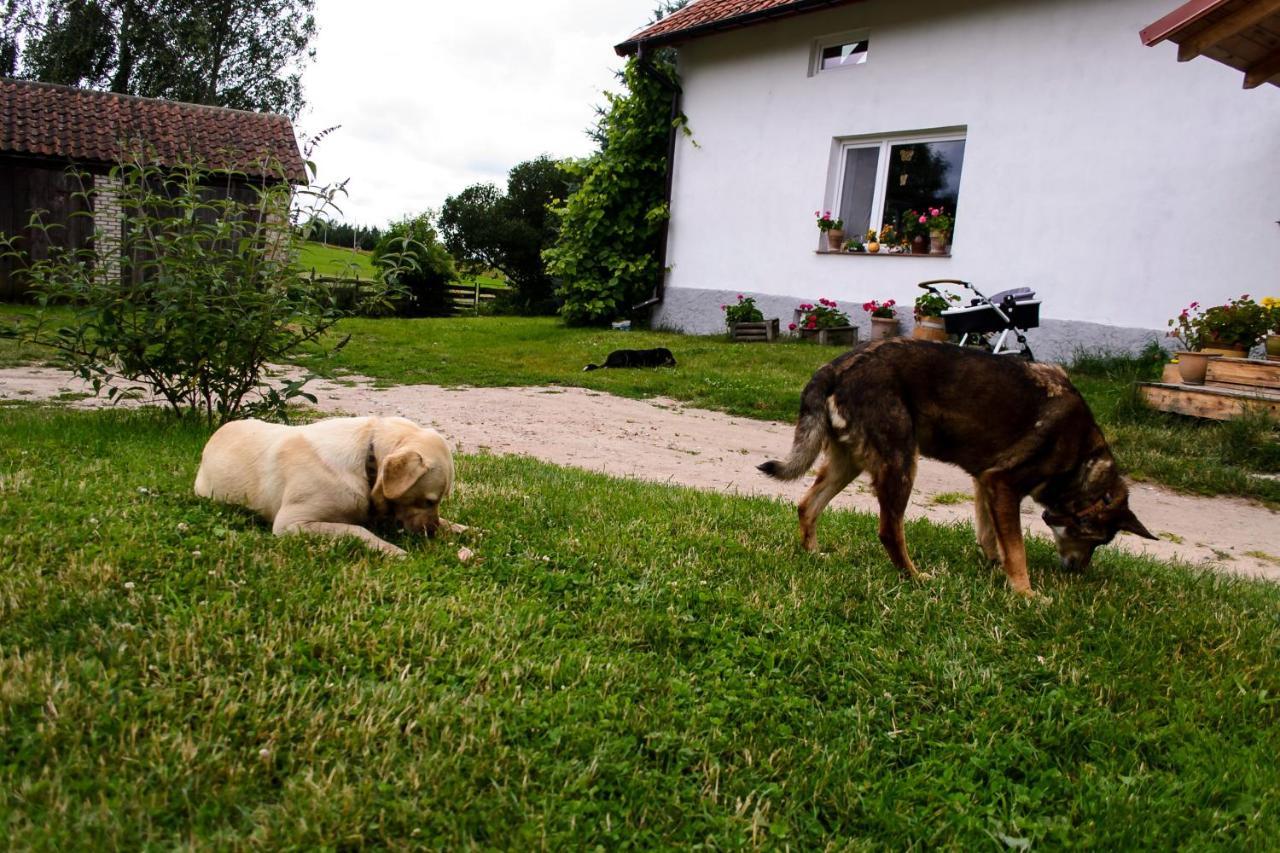 Zakatek Szczescia Eko Agroturystyka Kiwity Buitenkant foto