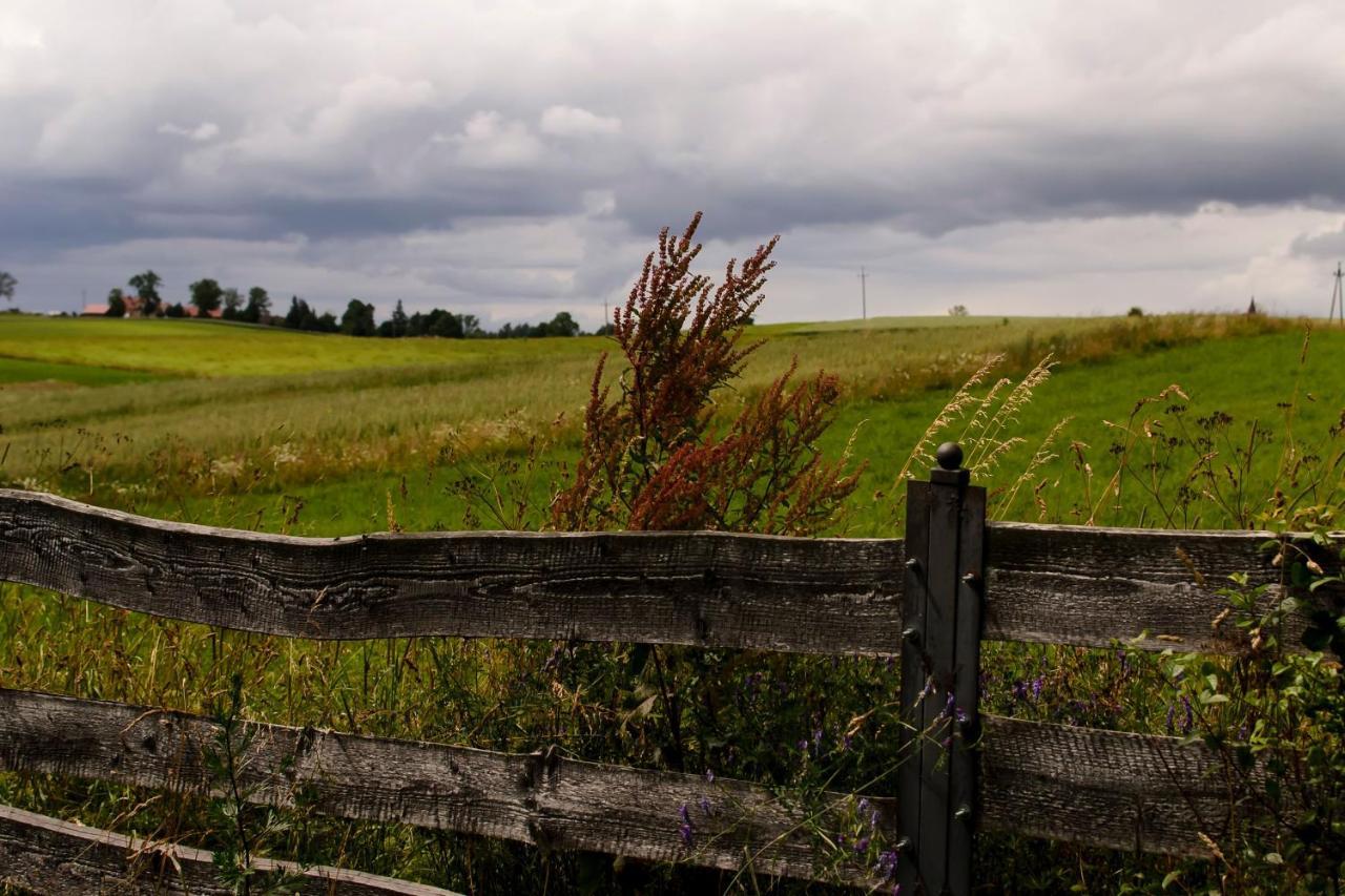 Zakatek Szczescia Eko Agroturystyka Kiwity Buitenkant foto