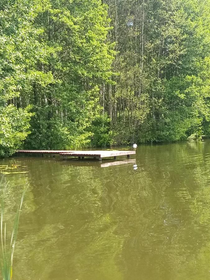 Zakatek Szczescia Eko Agroturystyka Kiwity Buitenkant foto