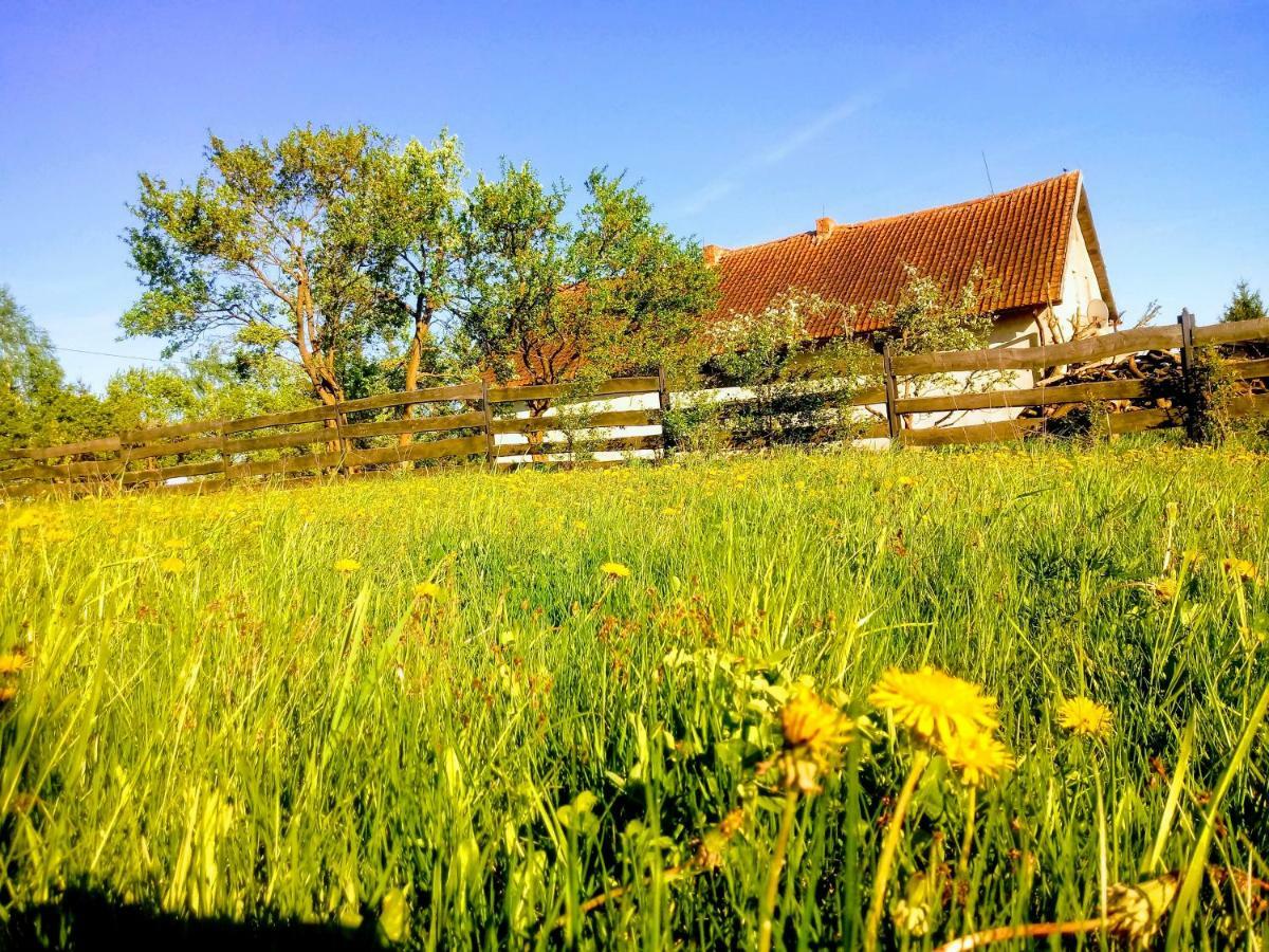 Zakatek Szczescia Eko Agroturystyka Kiwity Buitenkant foto