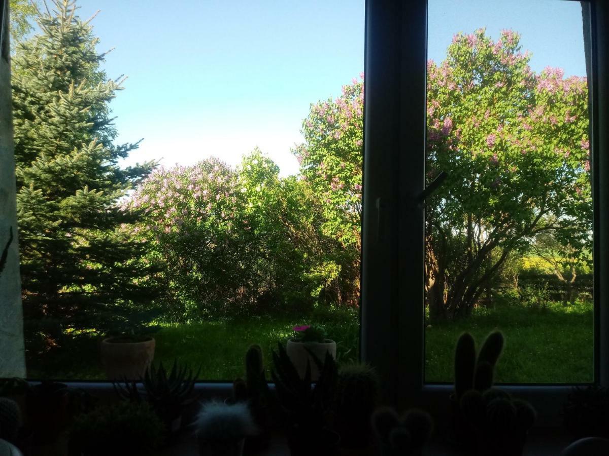 Zakatek Szczescia Eko Agroturystyka Kiwity Buitenkant foto